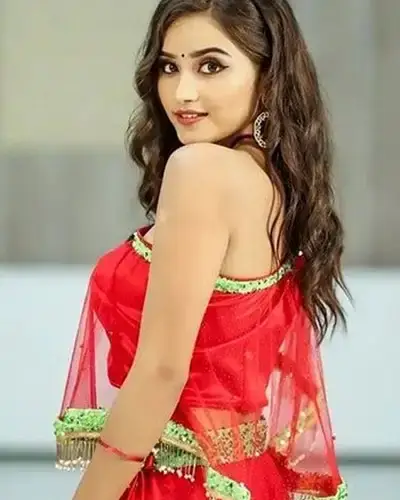 Call Girls Service Nagar